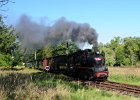2021.09.25 JHMD U46.101 Jindřichův Hradec - Nová Bystřice (3)